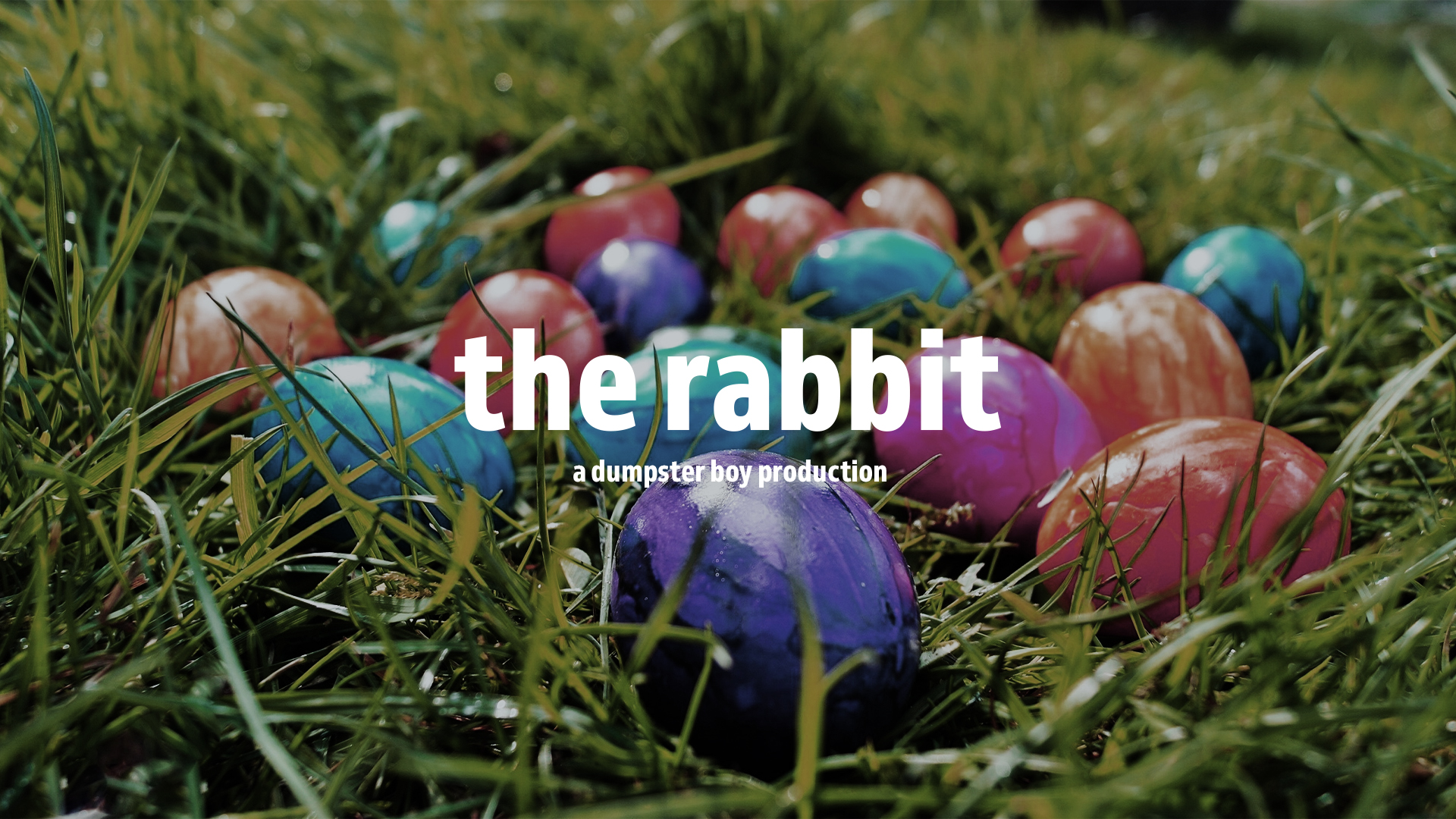 bunny-title-card-1.webp